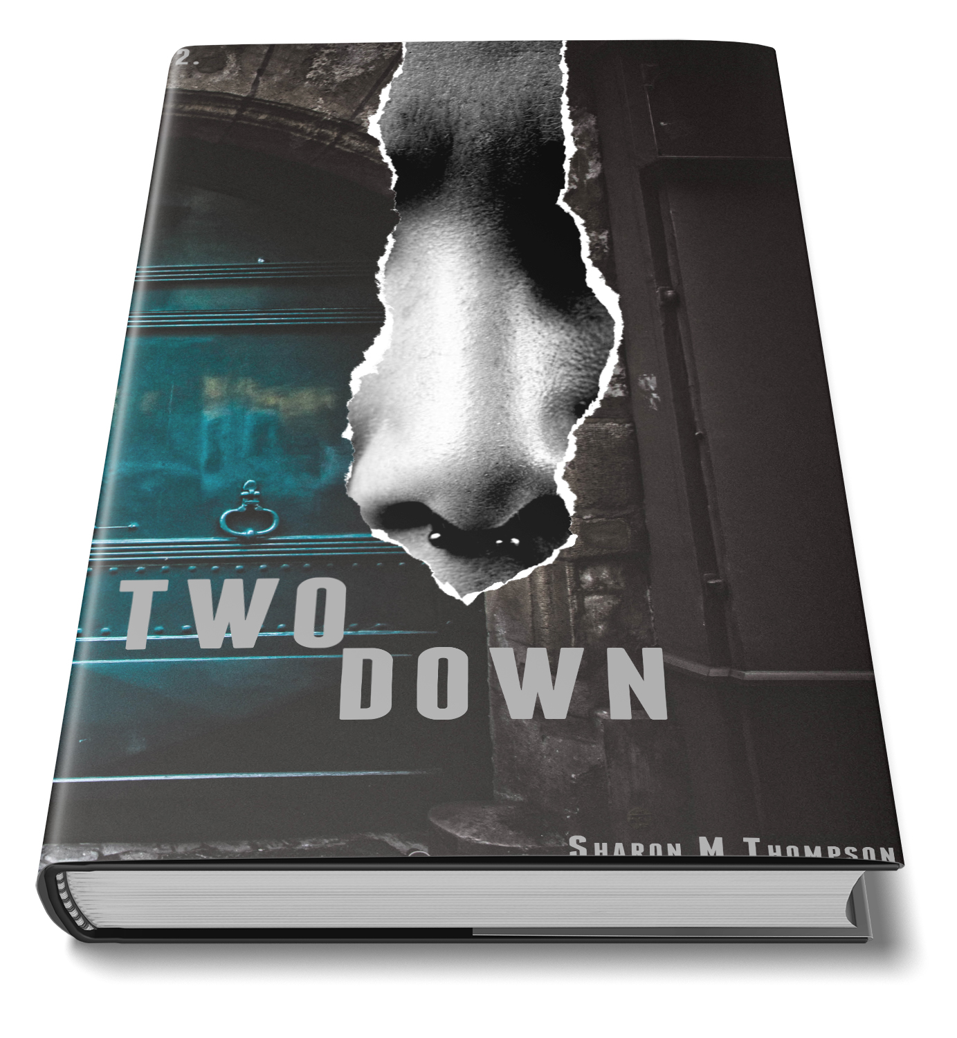 Book Cover Design by Mama Guska for Sharon M Thompson | Design #17813619