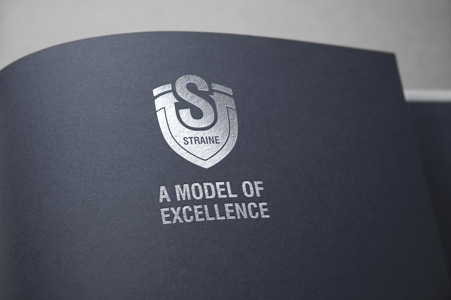 Logo Design by BuntarBG for Straine | Design #17898770