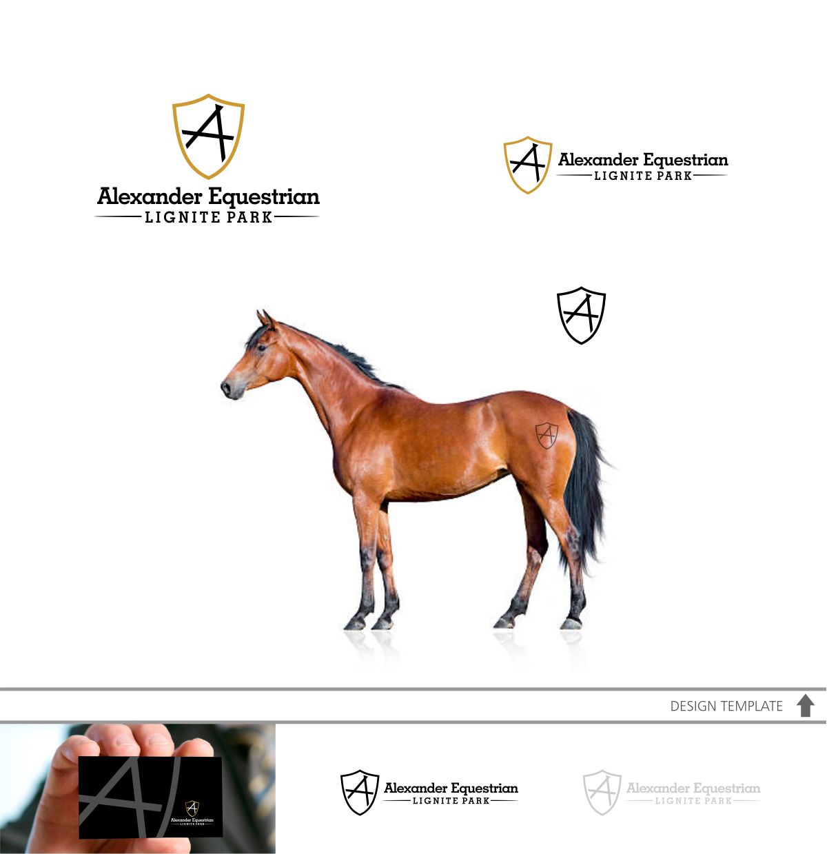 Logo Design by DesignMX (Renan Mejia) for Lignite Equestrian | Design #18016903