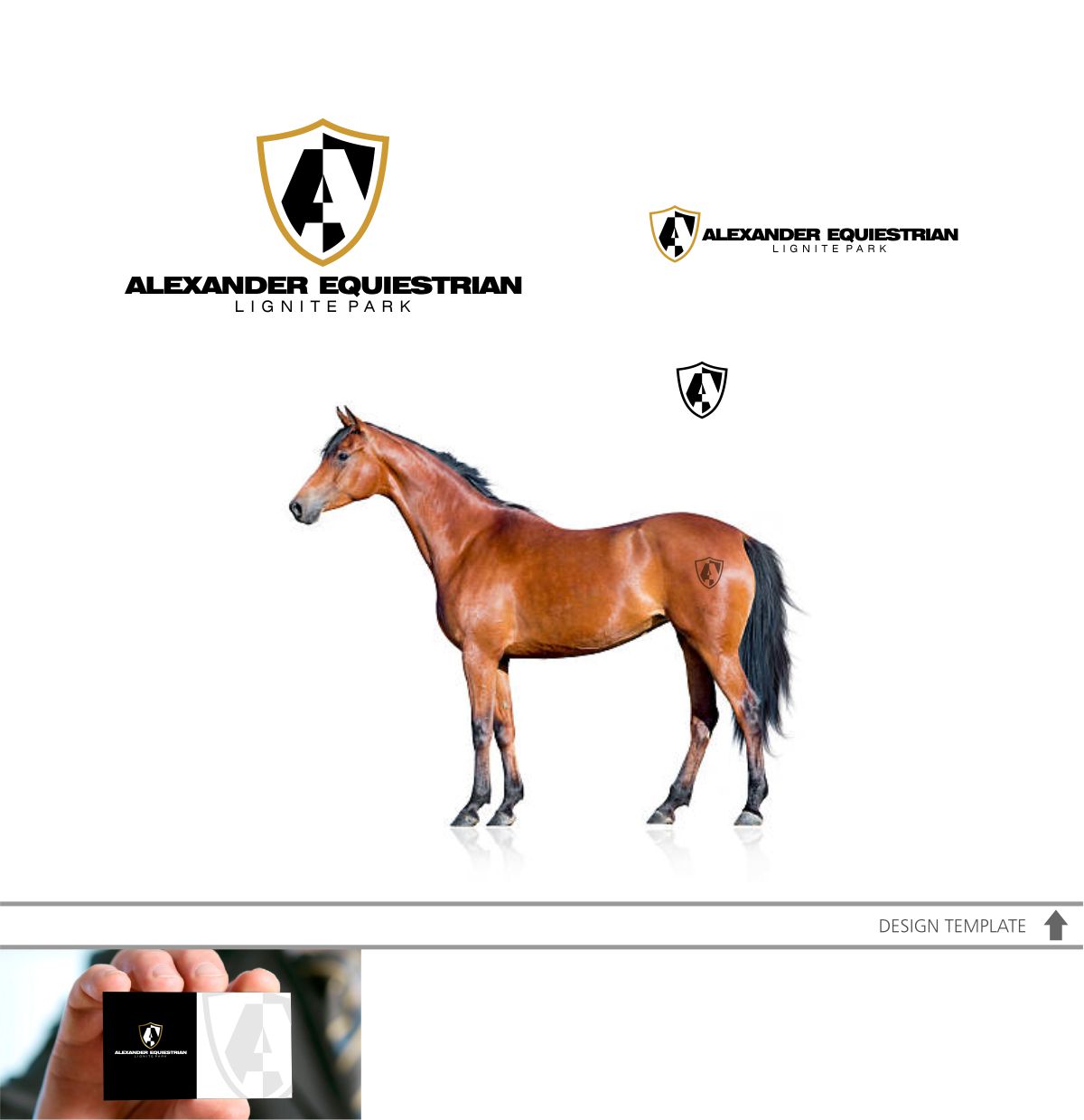 Logo Design by DesignMX (Renan Mejia) for Lignite Equestrian | Design #18016904