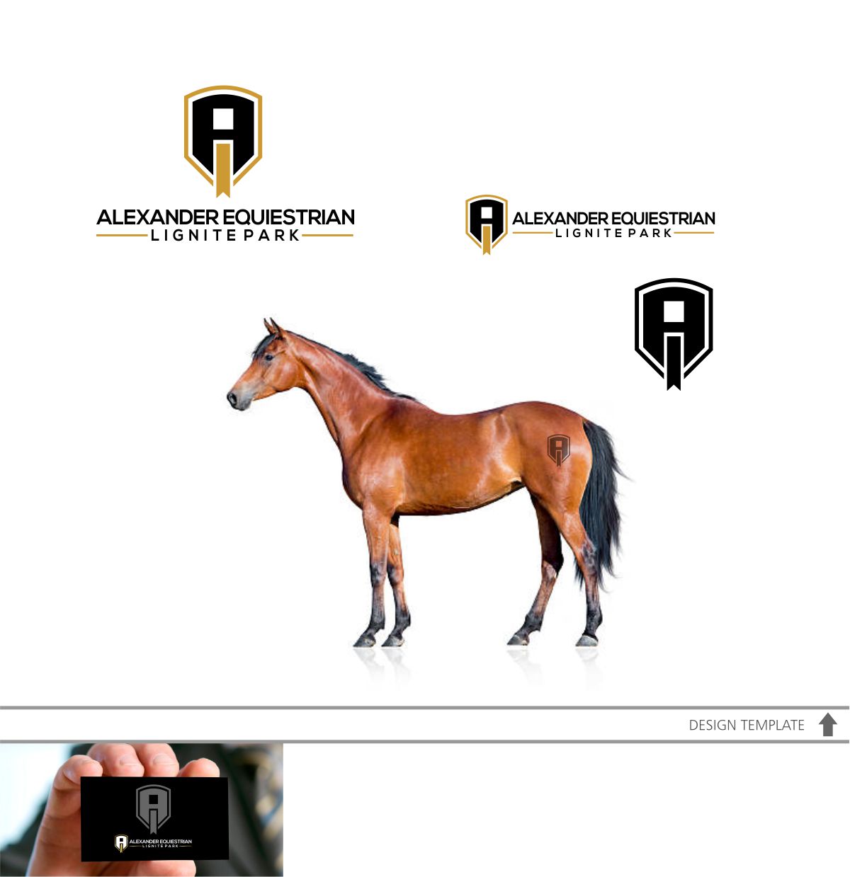 Logo Design by DesignMX (Renan Mejia) for Lignite Equestrian | Design #18017191