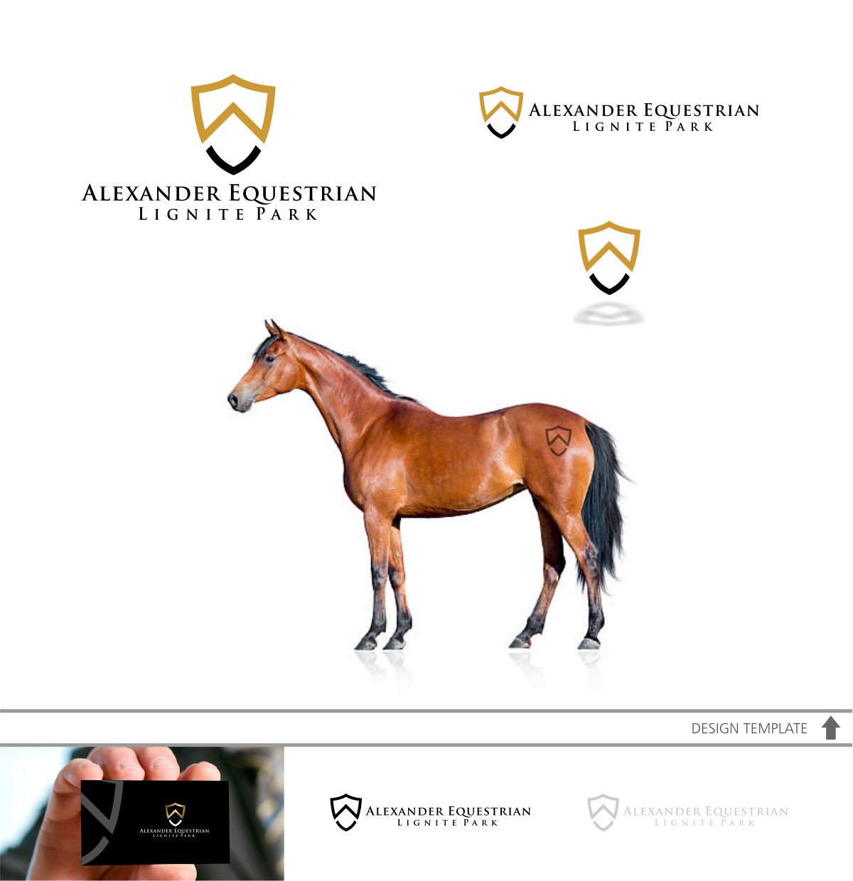 Logo Design by DesignMX (Renan Mejia) for Lignite Equestrian | Design #18017192