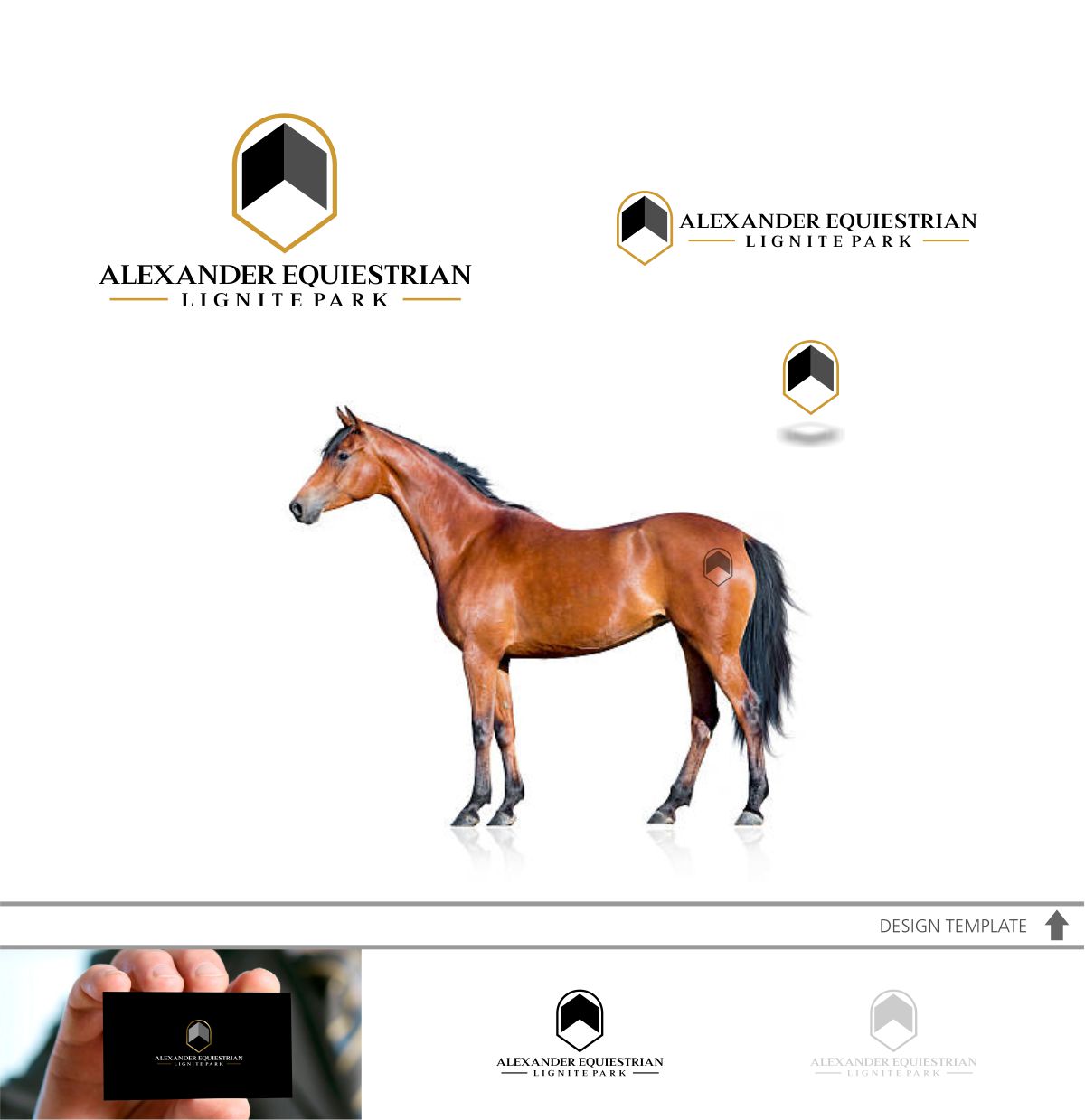 Logo Design by DesignMX (Renan Mejia) for Lignite Equestrian | Design #18017193