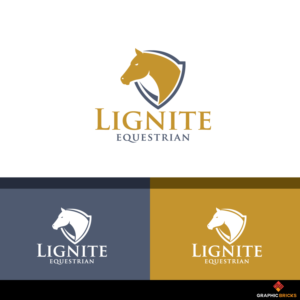 Logo Design by Graphic Bricks
