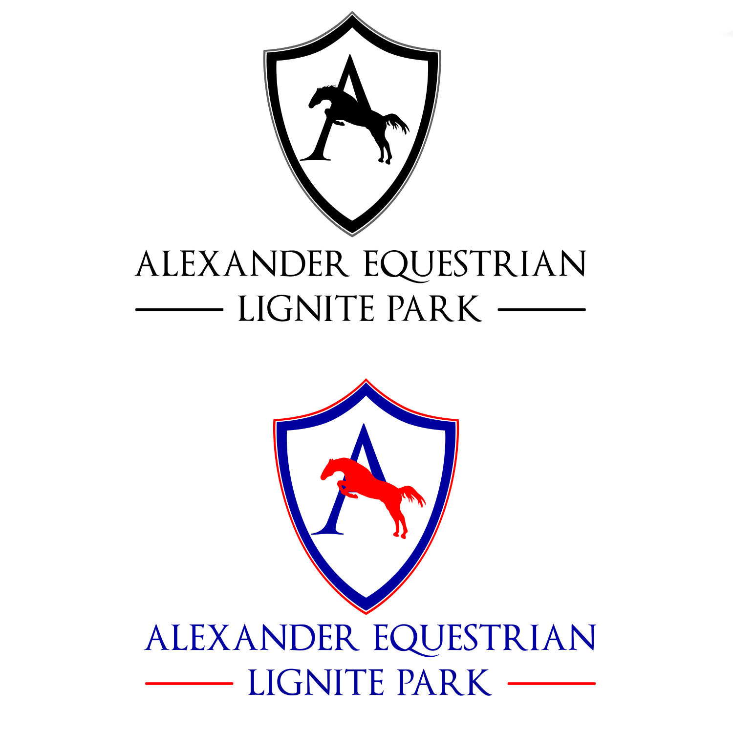 Design de Logo par Soula Vetter pour Lignite Equestrian | Design #17994786