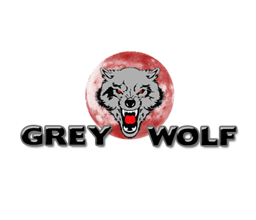 Logo Design by Kimberly Z for this project | Design #2795520