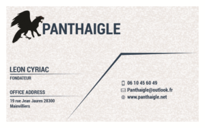 Business Card Design by Velarudh_Infotech for this project | Design: #17885790