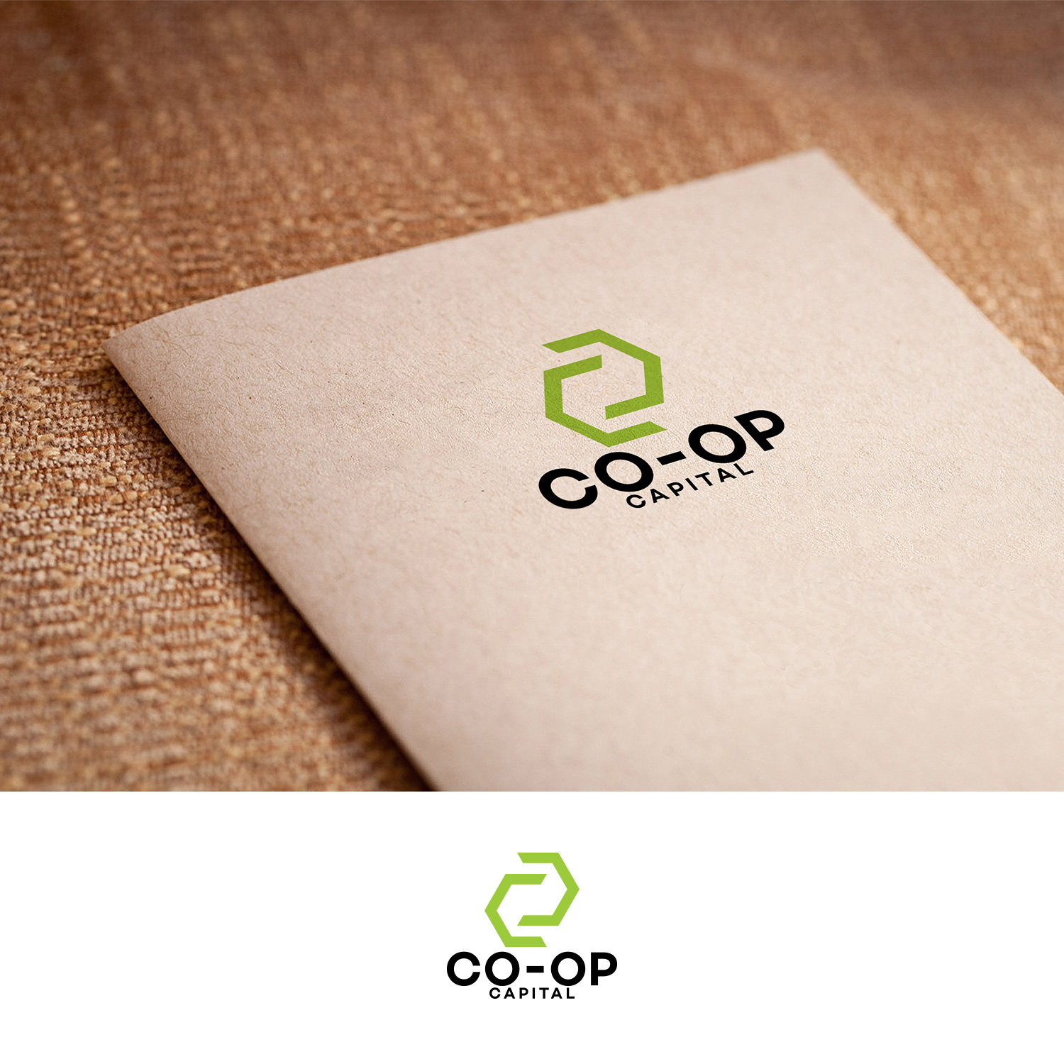 Logo Design by DesignDUO for Fundsource Financial LLC | Design #17810119