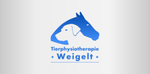 Logo Design by photoss