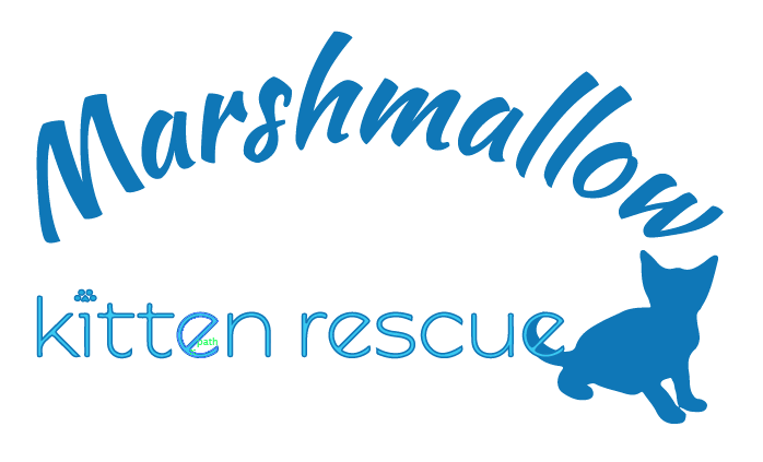 Logo Design by artemizia for this project | Design #17819409