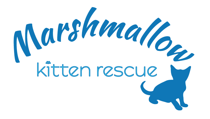 Logo Design by artemizia for this project | Design #17819459