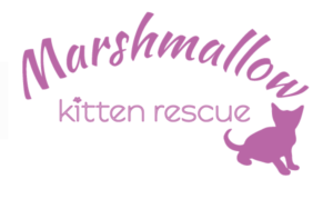 Logo Design by artemizia