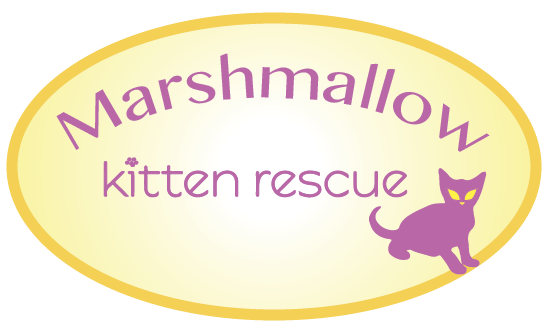 Logo Design by artemizia for this project | Design #17822311