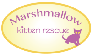 Logo Design by artemizia for this project | Design #17822311