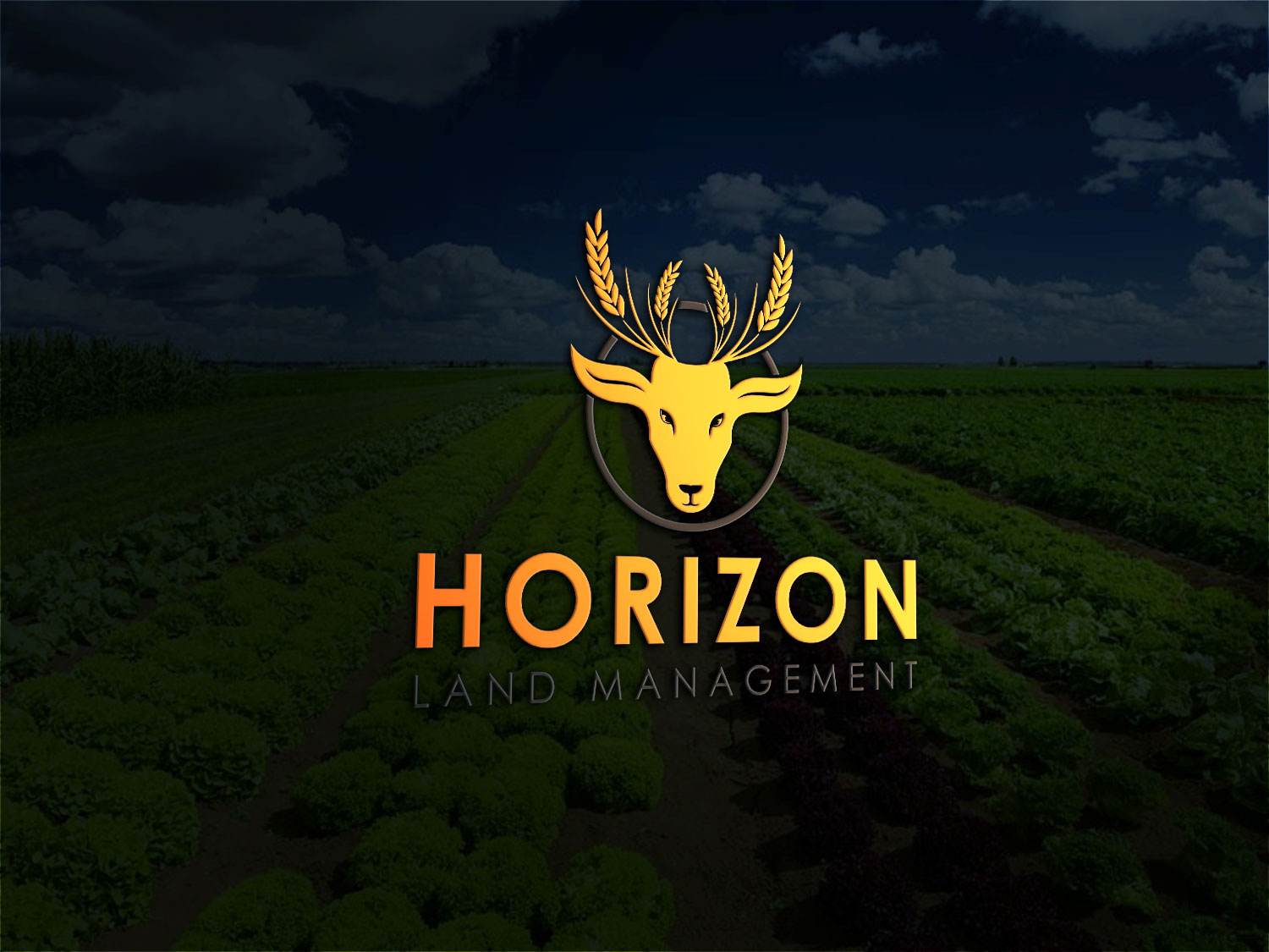 Logo Design by Deziners Zone for DELTA FUEL | Design #17858548