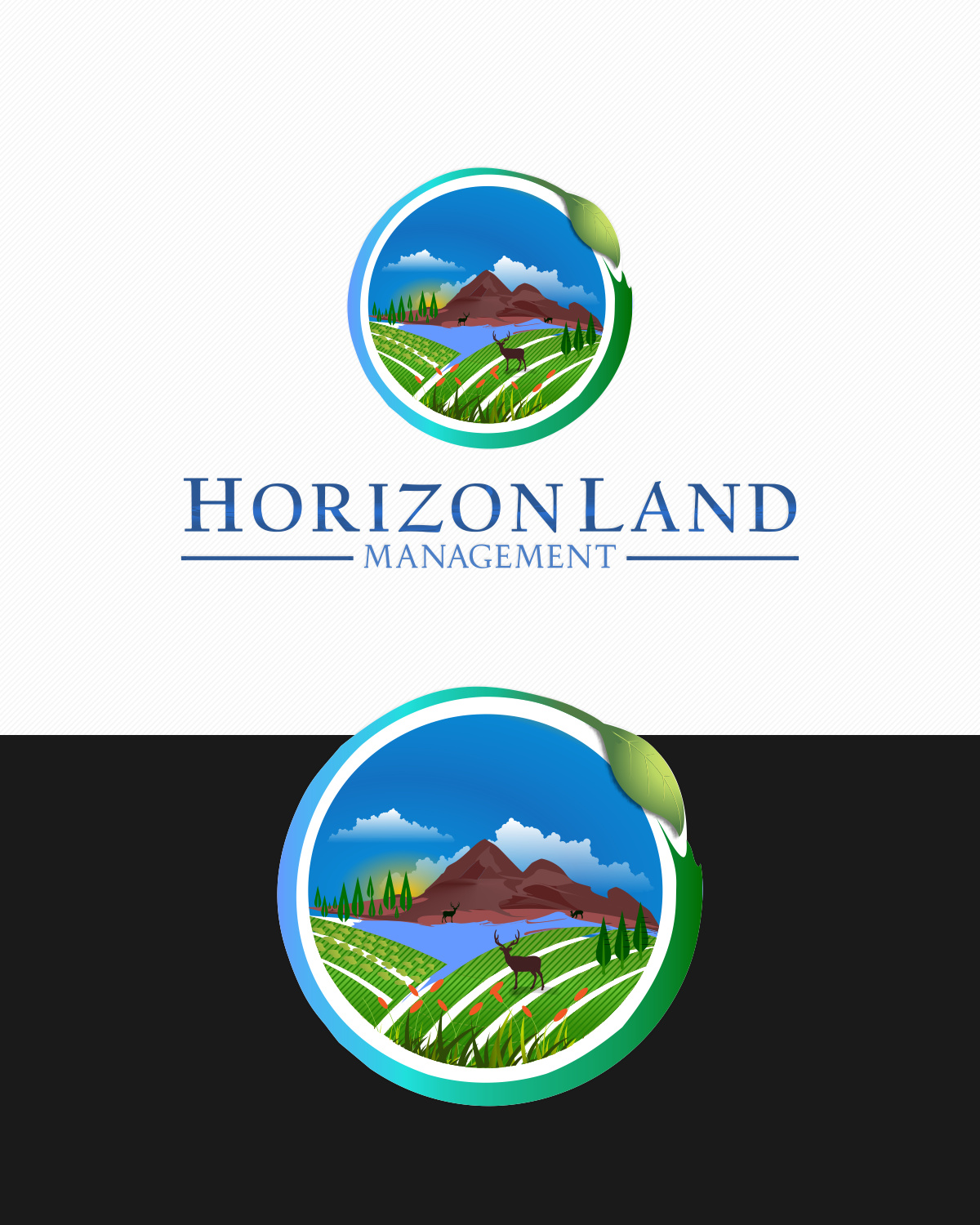 Logo Design by NSP Design for DELTA FUEL | Design #18018280