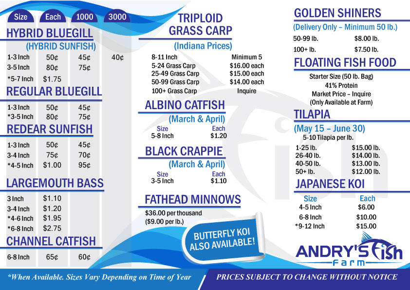 Flyer Design by Parul for this project | Design #20850927