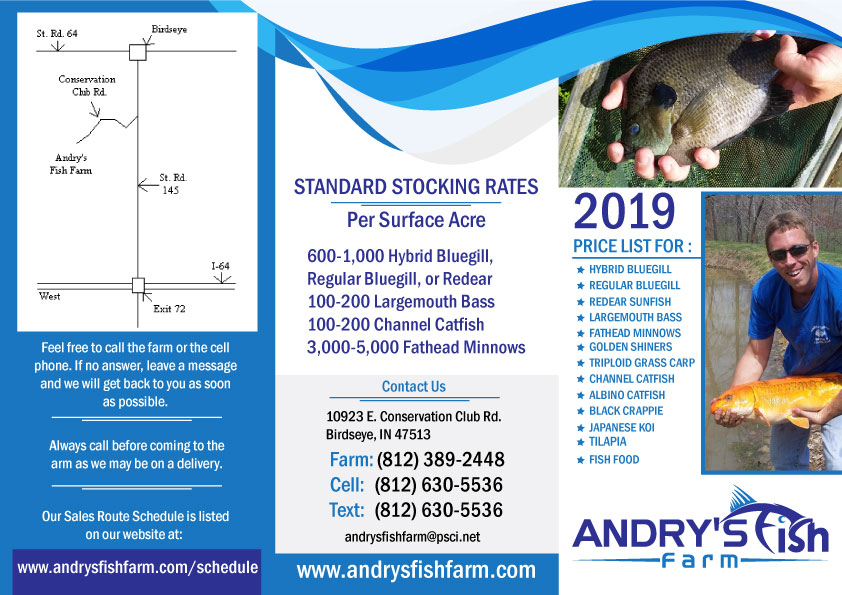 Flyer Design by Parul for this project | Design #20850929