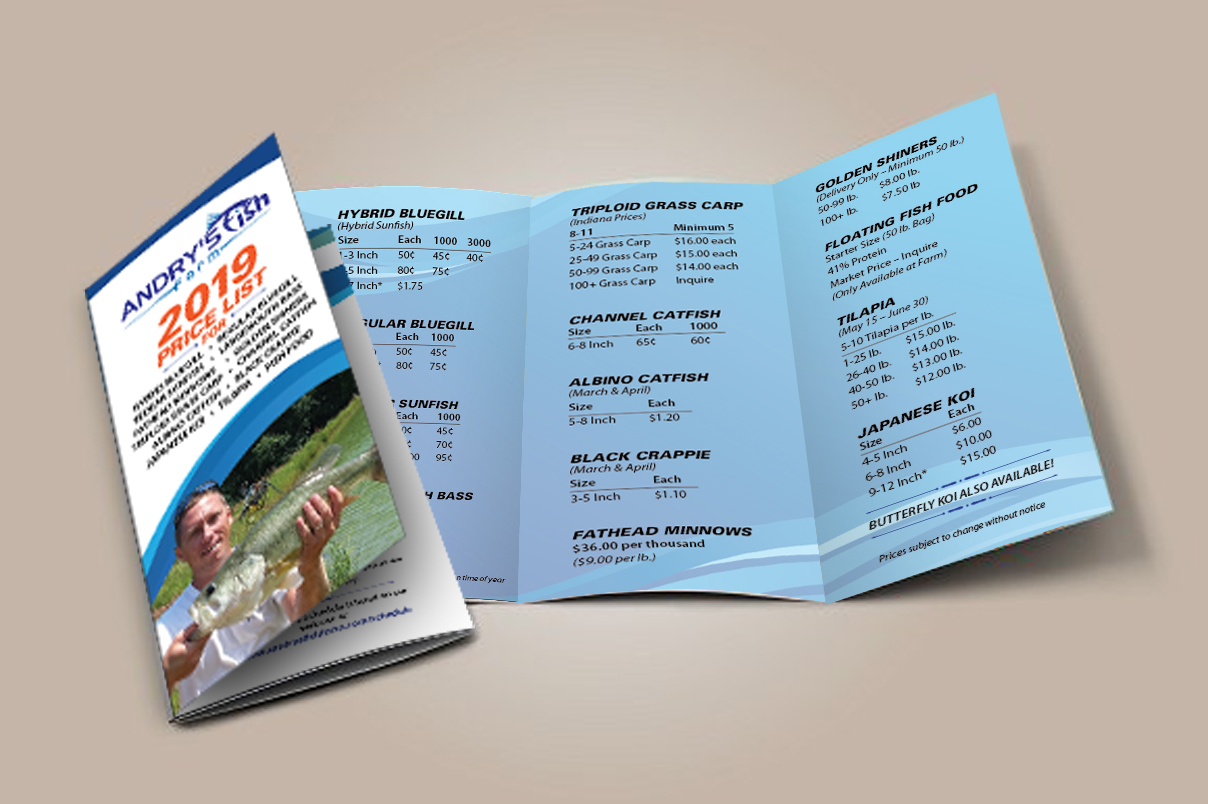 Flyer-Design von eleven für dieses Projekt | Design #20891410