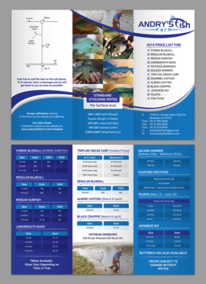 Design de Flyer par Titan Solbiz pour ce projet | Design : #20831634
