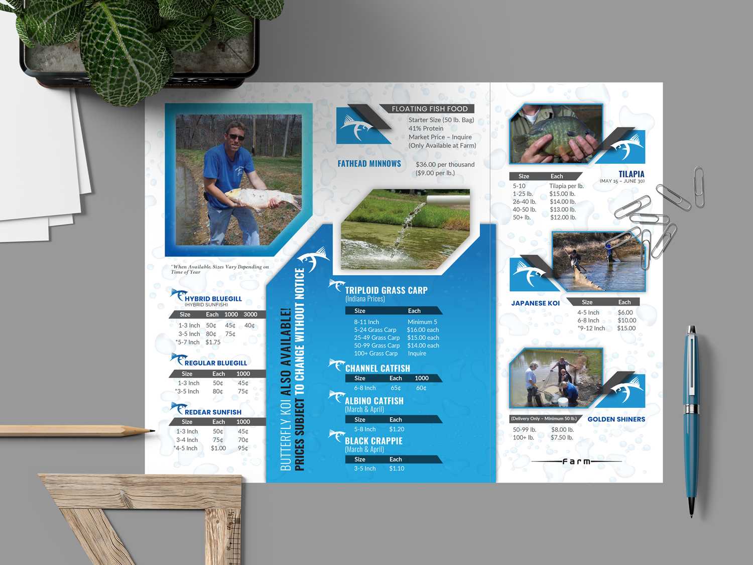 Flyer Design by ilovedesign1 for this project | Design #20845373