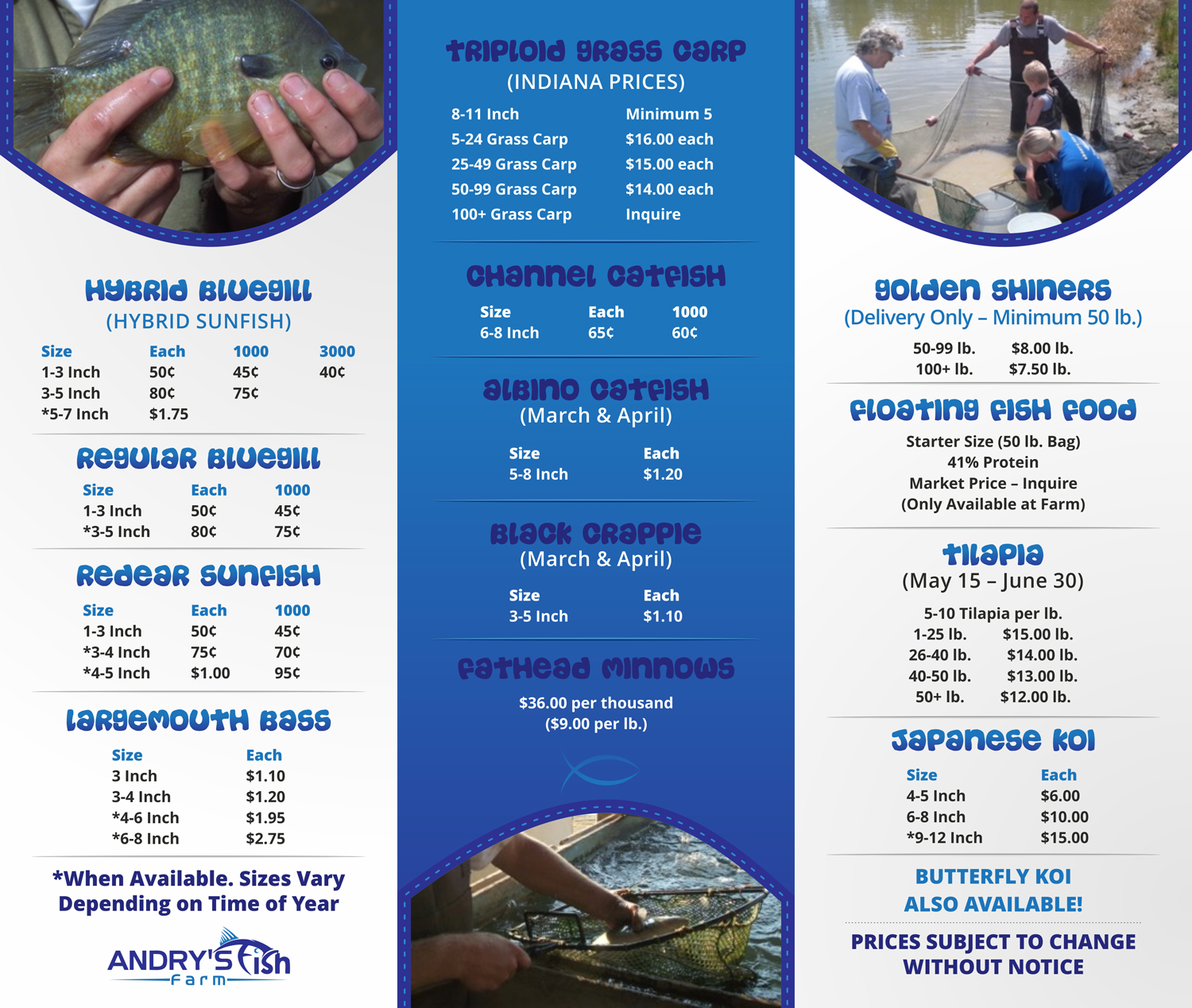 Flyer Design by Marketing Wings for this project | Design #20817026