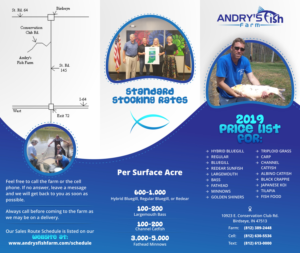 Design de Flyer par Marketing Wings pour ce projet | Design : #20817027