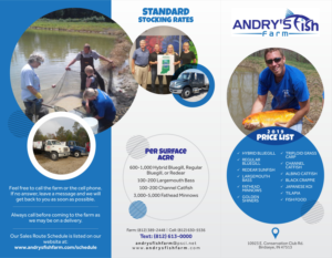 Design de Flyer par Marketing Wings pour ce projet | Design : #20820294