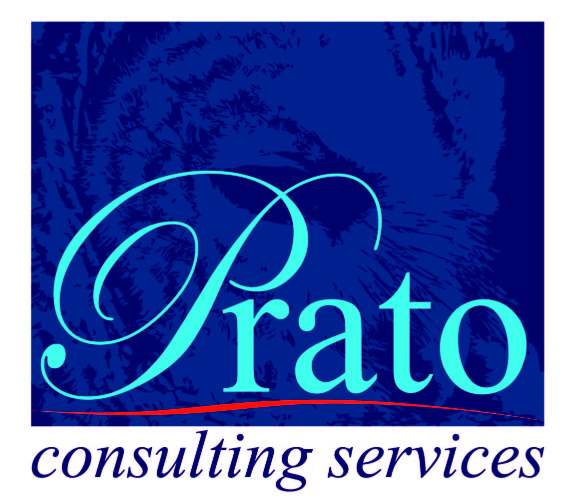 Design de Logo par ClarityGraphia pour Prato Consulting Limited | Design #46311