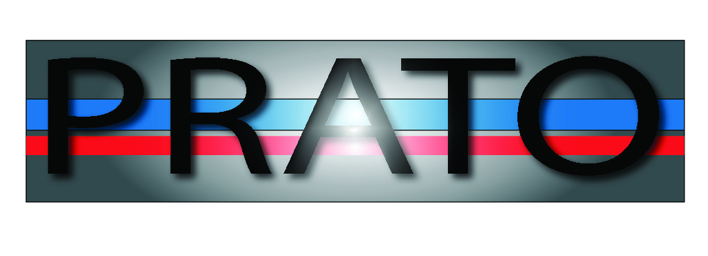 Logo Design by ML Renodesign for Prato Consulting Limited | Design #45861