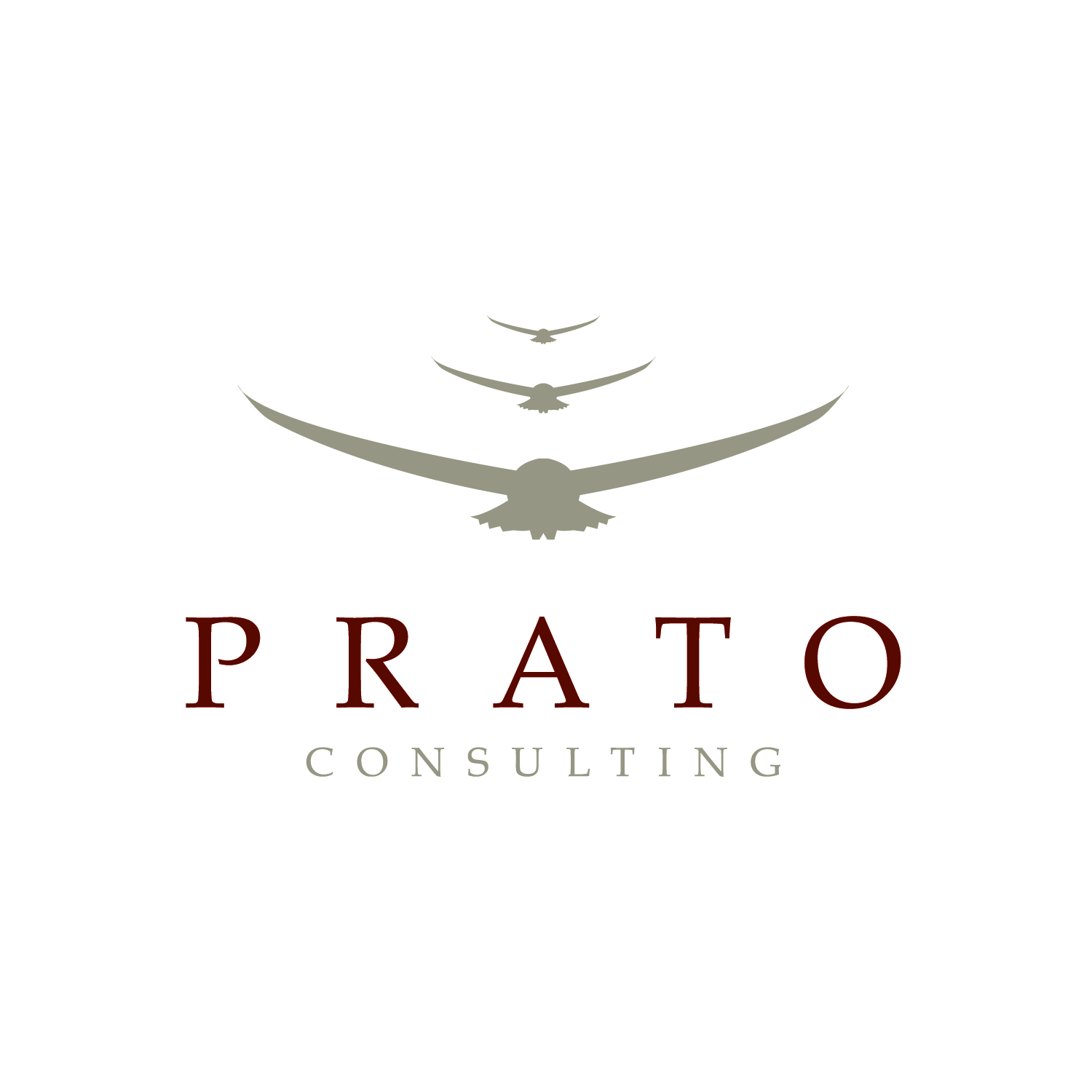 Logo-Design von Alanna für Prato Consulting Limited | Design #46830