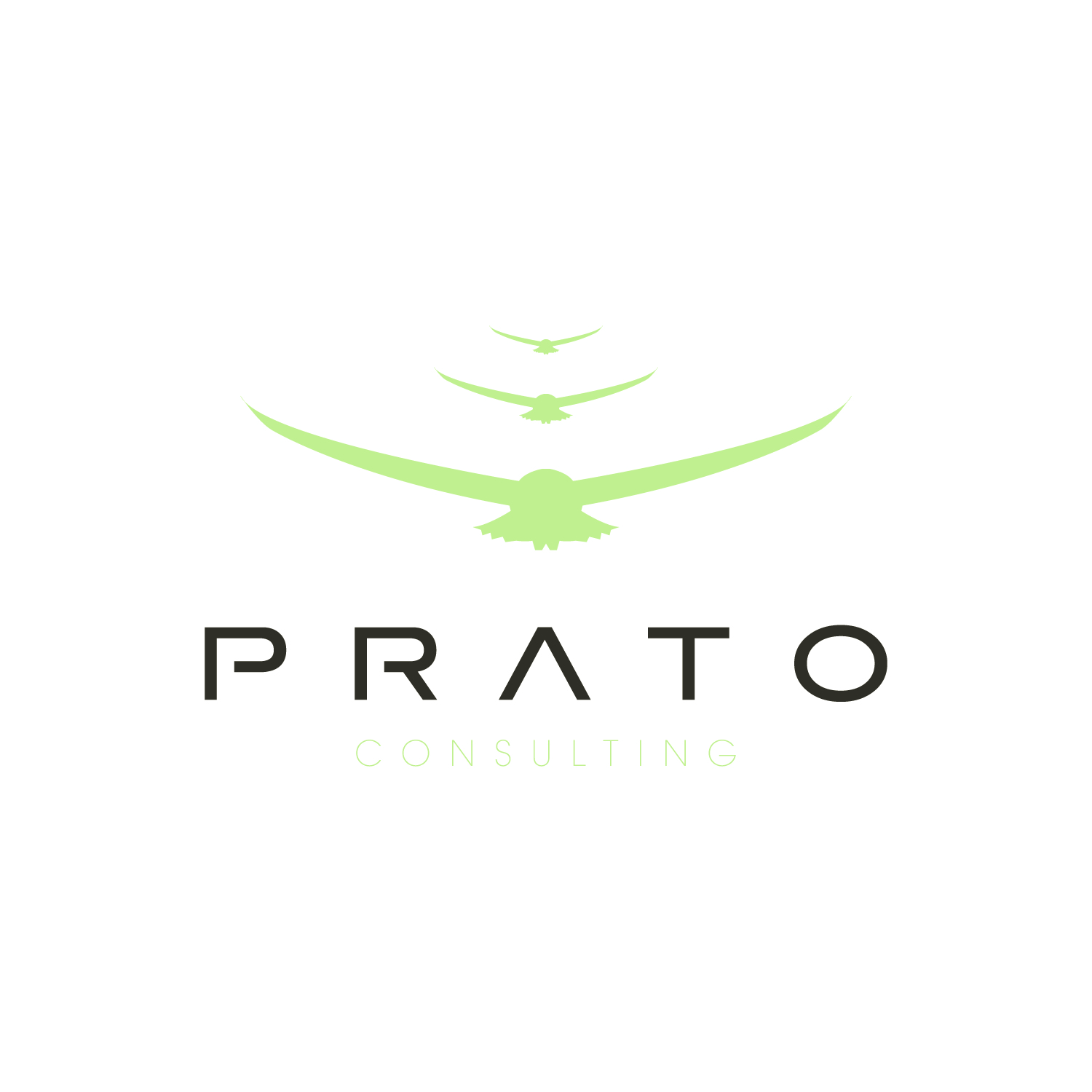 Logo Design by Alanna for Prato Consulting Limited | Design #46833