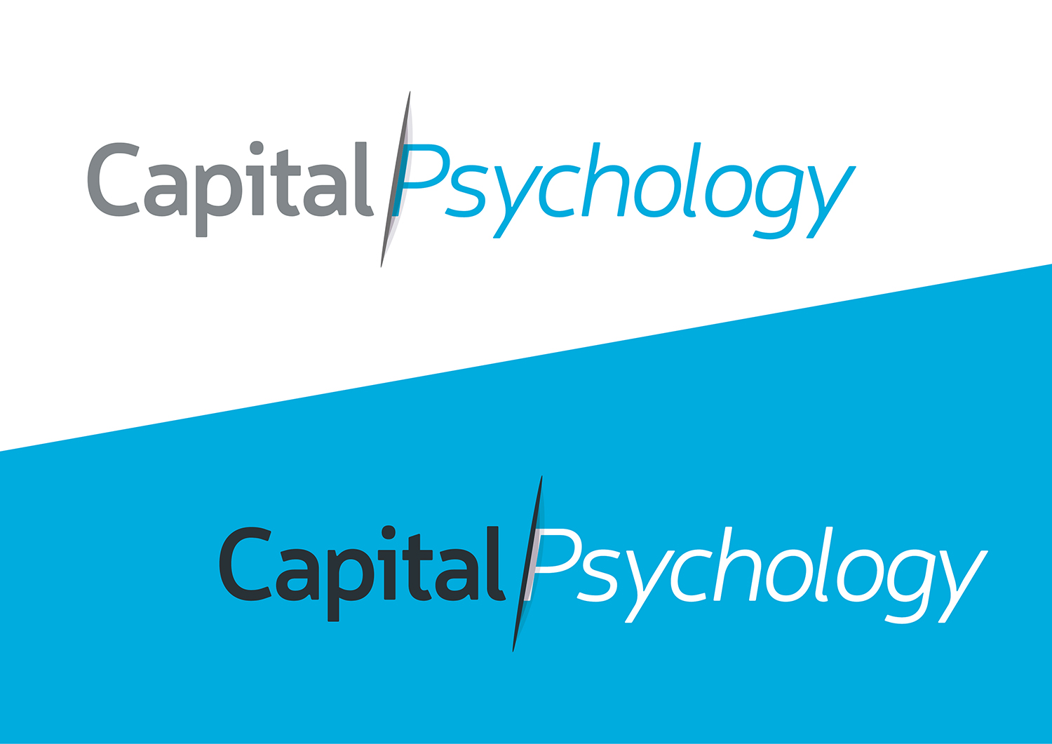 Logo Design by Channel Studio for this project | Design #17813417