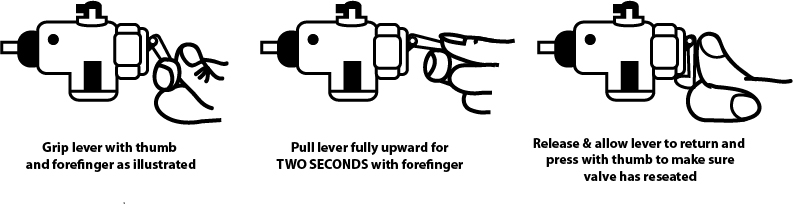 Illustration Design by Jen (jenjen7) for this project | Design #17834569