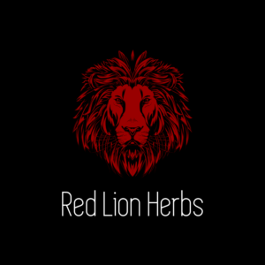 lion logo design