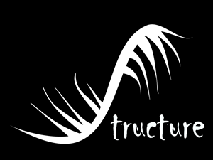 Diseño de Logo por Imaginarte Photogrphy para AMB | Diseño #2759924