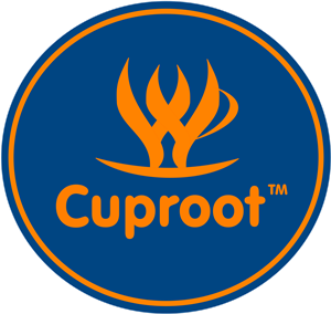 Logo Design by Kewin Perera