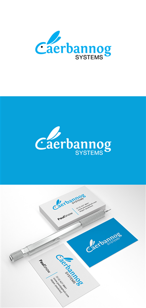 Caerbannog Systems | Business Card Design by JAKUART
