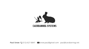 Business Card Design by Seamus Radu for this project | Design: #2774824