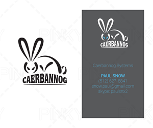 Caerbannog Systems | Design de Carte de Visite par Pinky 