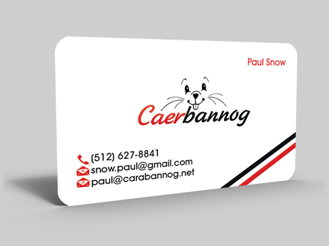 Business Card Design by Hardcore Design for this project | Design #2775793