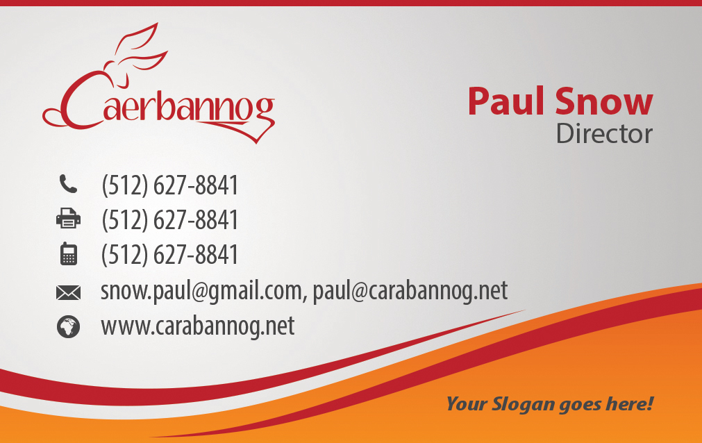 Business Card Design by VEGA-Designs for this project | Design #2763632