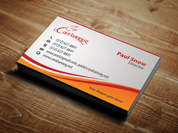 Business Card Design by VEGA-Designs for this project | Design #2763636