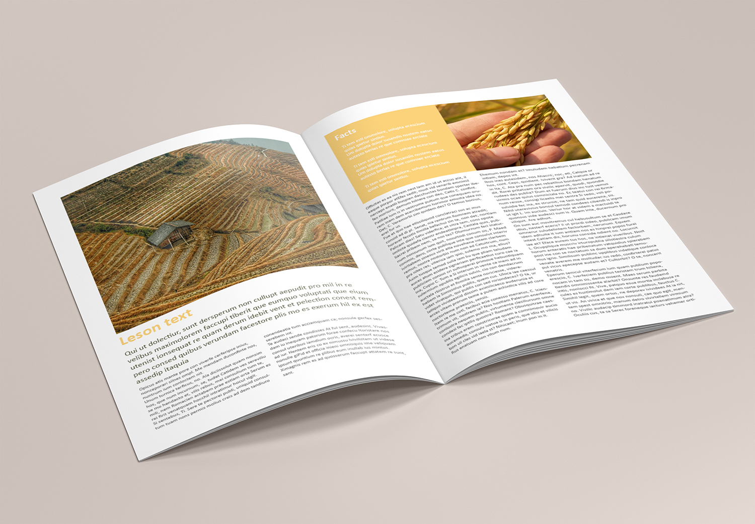 Magazine Design by banedsgn for Australian National Institute for Training and Development | Design #18081808