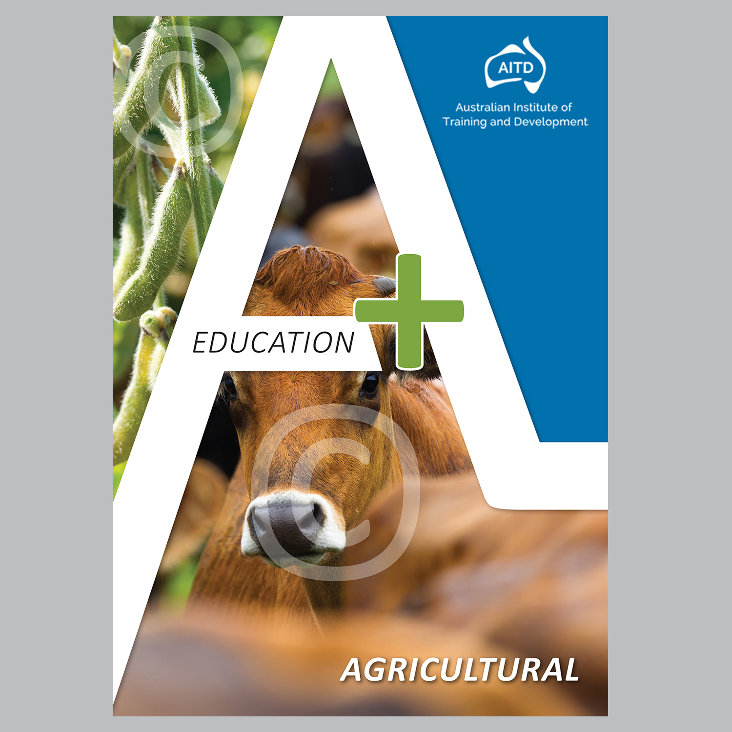 Magazine Design by Ashley Erasmus for Australian National Institute for Training and Development | Design #18041328