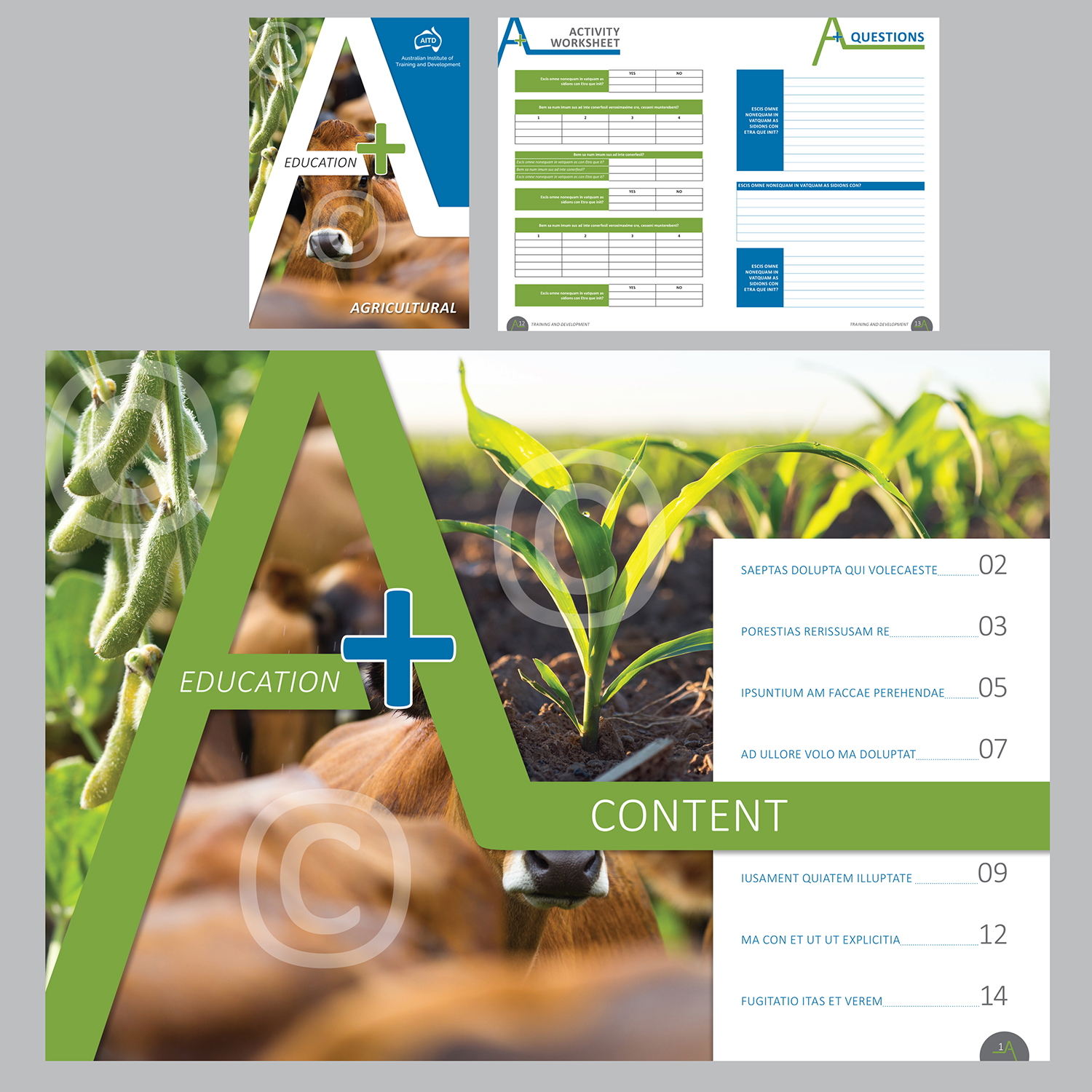 Magazine Design by Ashley Erasmus for Australian National Institute for Training and Development | Design #18041331