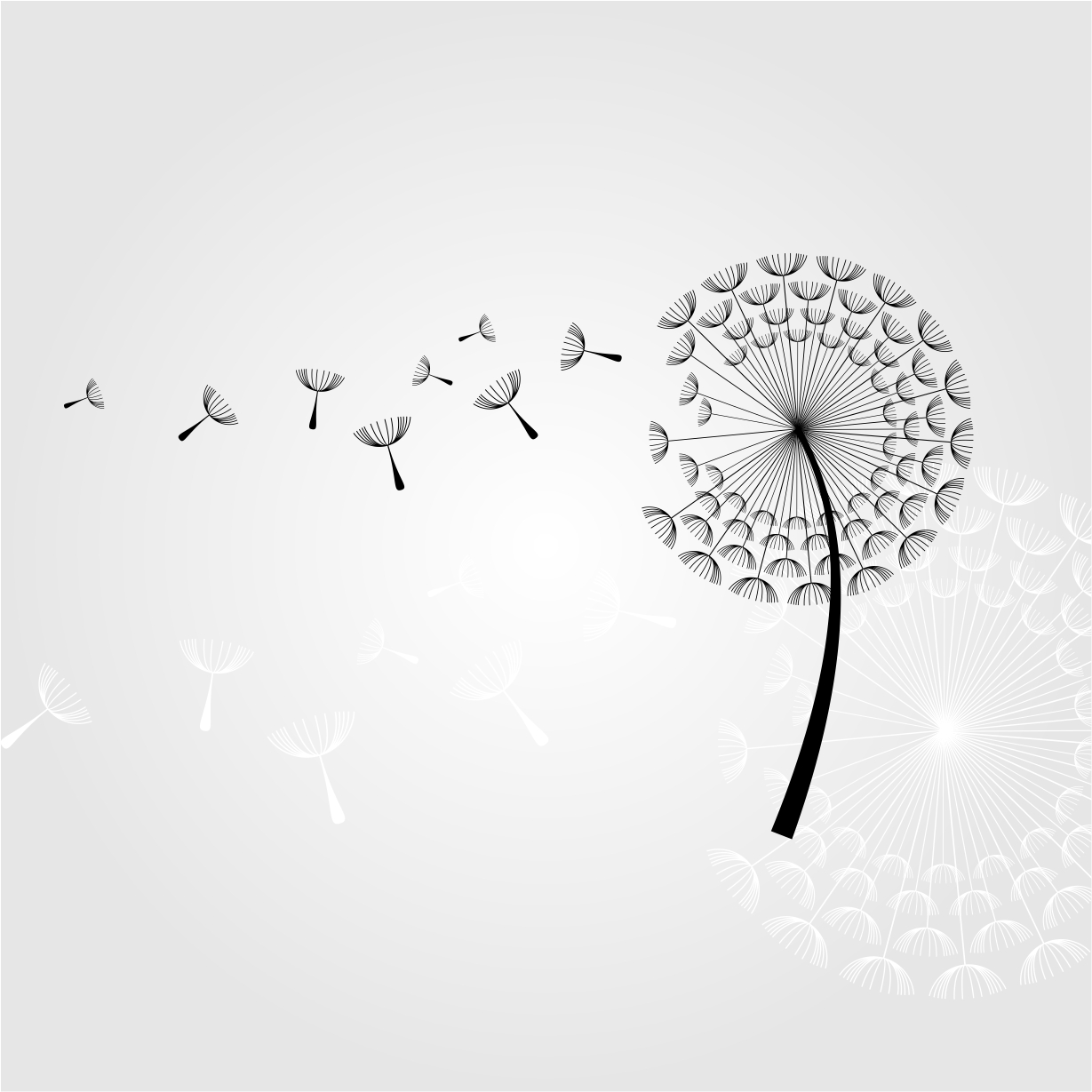 Logo-Design von said.tempo für dieses Projekt | Design #17852774