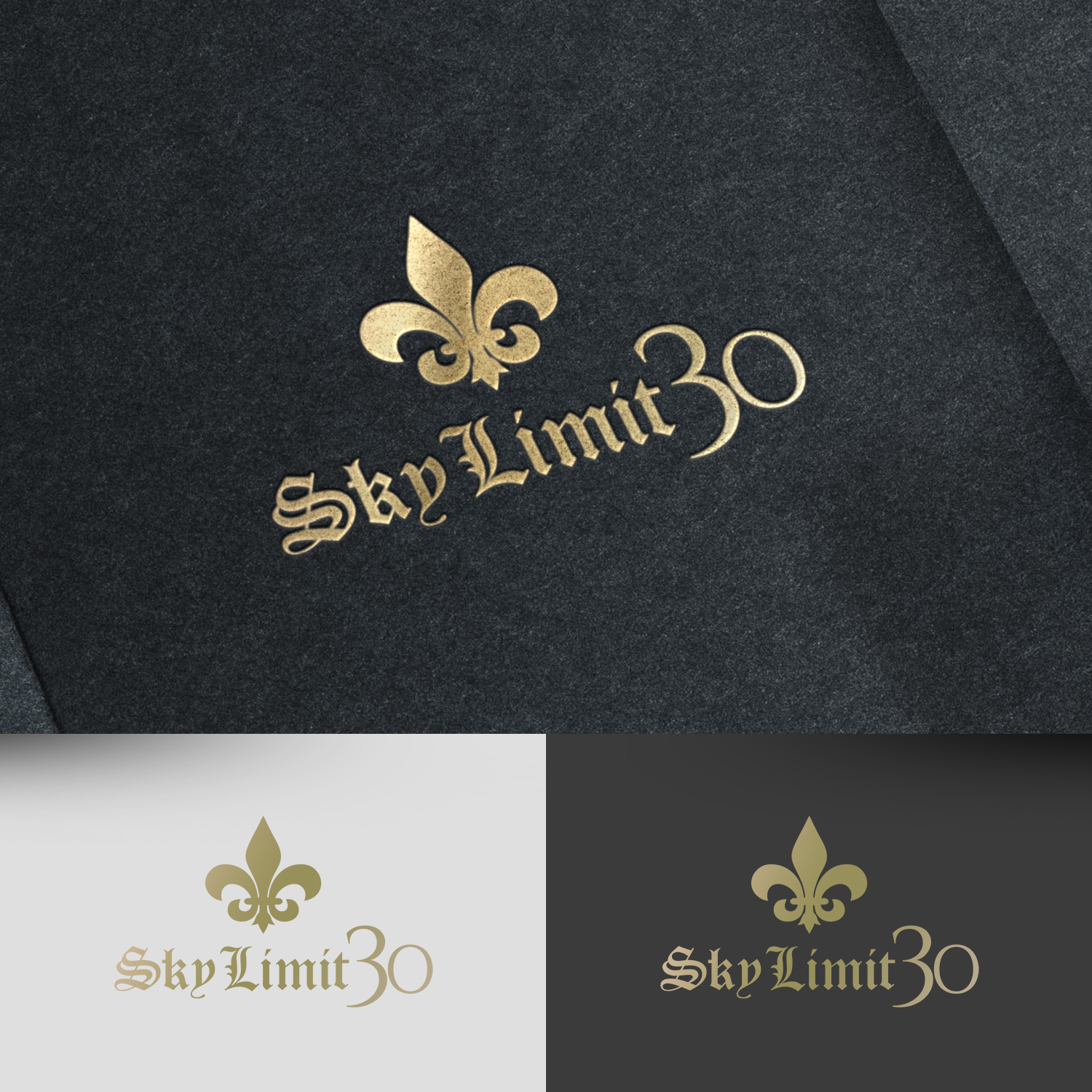 Logo Design by rafaeldsgn for Skylimit30 LLC | Design #17892295