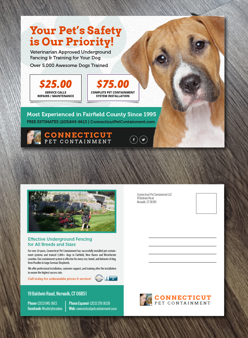 Postcard Design by Alexandar for Connecticut Pet Containment LLC | Design #17861588