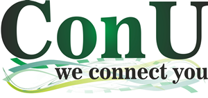 Logo Design by Denisa V N